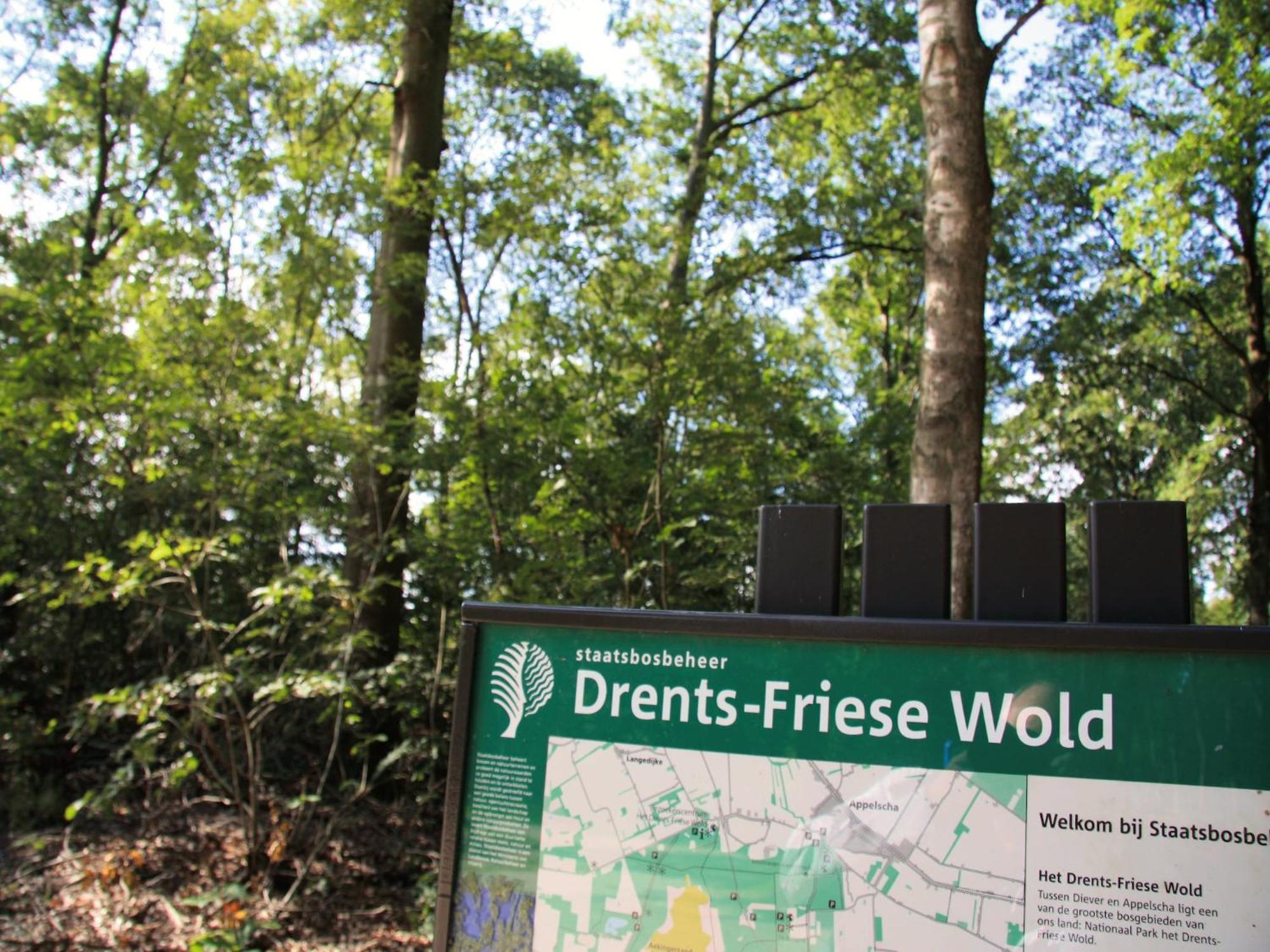 Restyled House With Fire Place Near The Drents-Friese Wold Villa Hoogersmilde Bagian luar foto